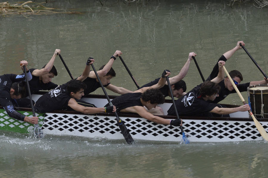 La Regata Ciudad de Murcia rompe su techo con setecientos palistas, barcos dragón y participantes de prestigio.