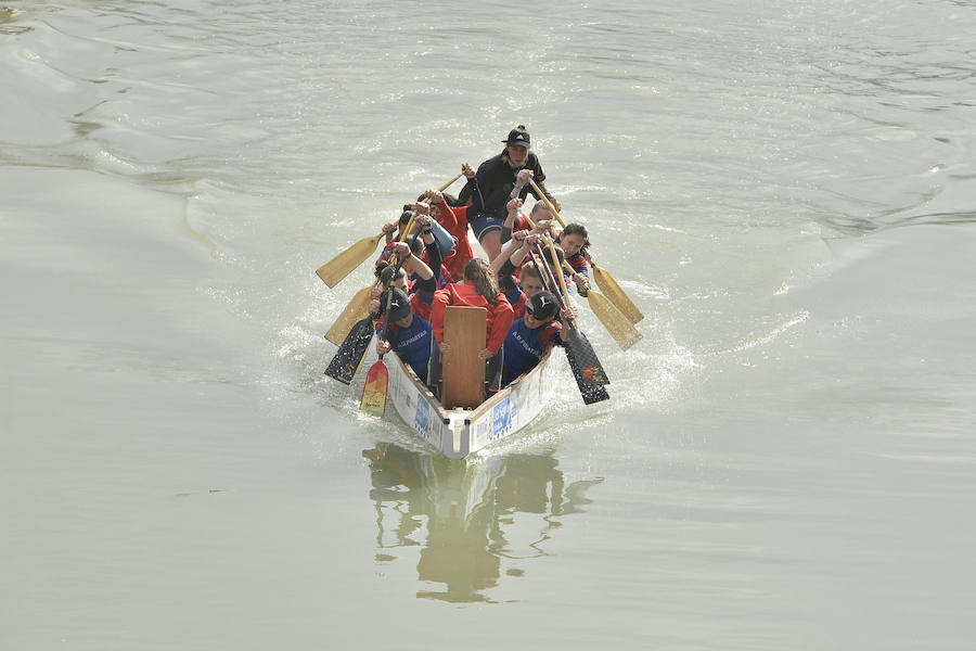 La Regata Ciudad de Murcia rompe su techo con setecientos palistas, barcos dragón y participantes de prestigio.