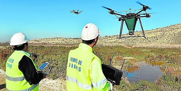 Dos técnicos de la empresa de control de plagas en Murcia dirigen el vuelo del dron de tratamiento, que vuelca el insecticida que porta en una zona encharcada. 