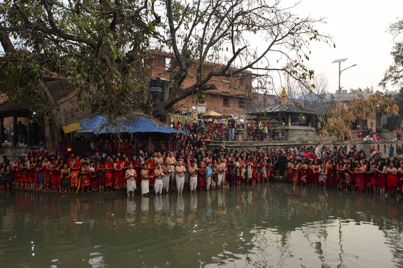 Devotos toman un baño sagrado en el río Hanumante durante el último día del Festival Madhav Narayan en Bhaktapur (Nepal). El Madhay Narayan se celebra durante un mes completo en el que se toman baños sagrados para lavar los pecados y se estudia el libro Swasthani. La veneración a la diosa Swasthani, una festividad que solo se conmemora en Nepal, es única en cada pueblo, con celebraciones y tradiciones diferentes.