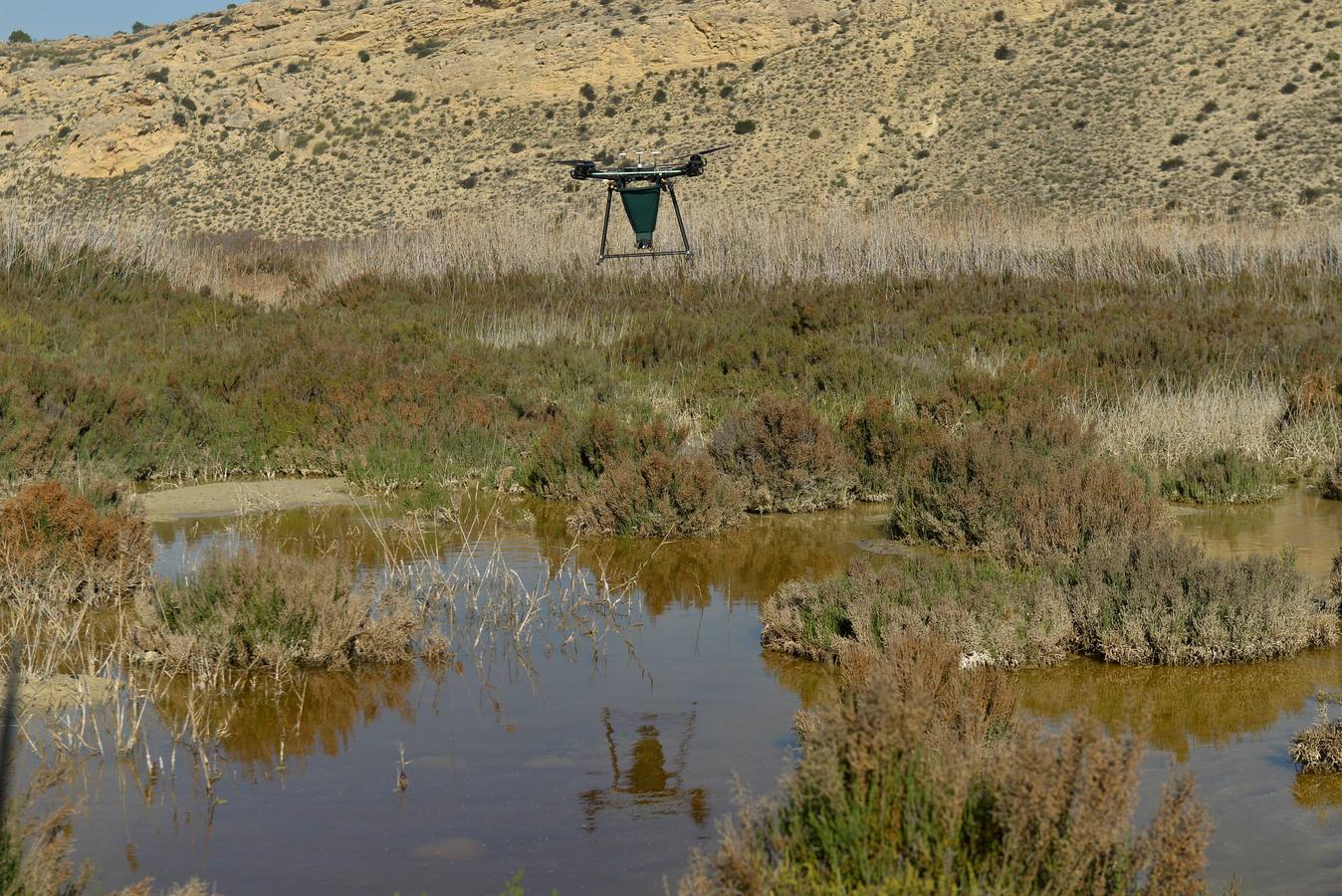 Los aparatos voladores esparcen por el agua una bacteria que impide el desarrollo biológico del 'Aedes albopictus'.