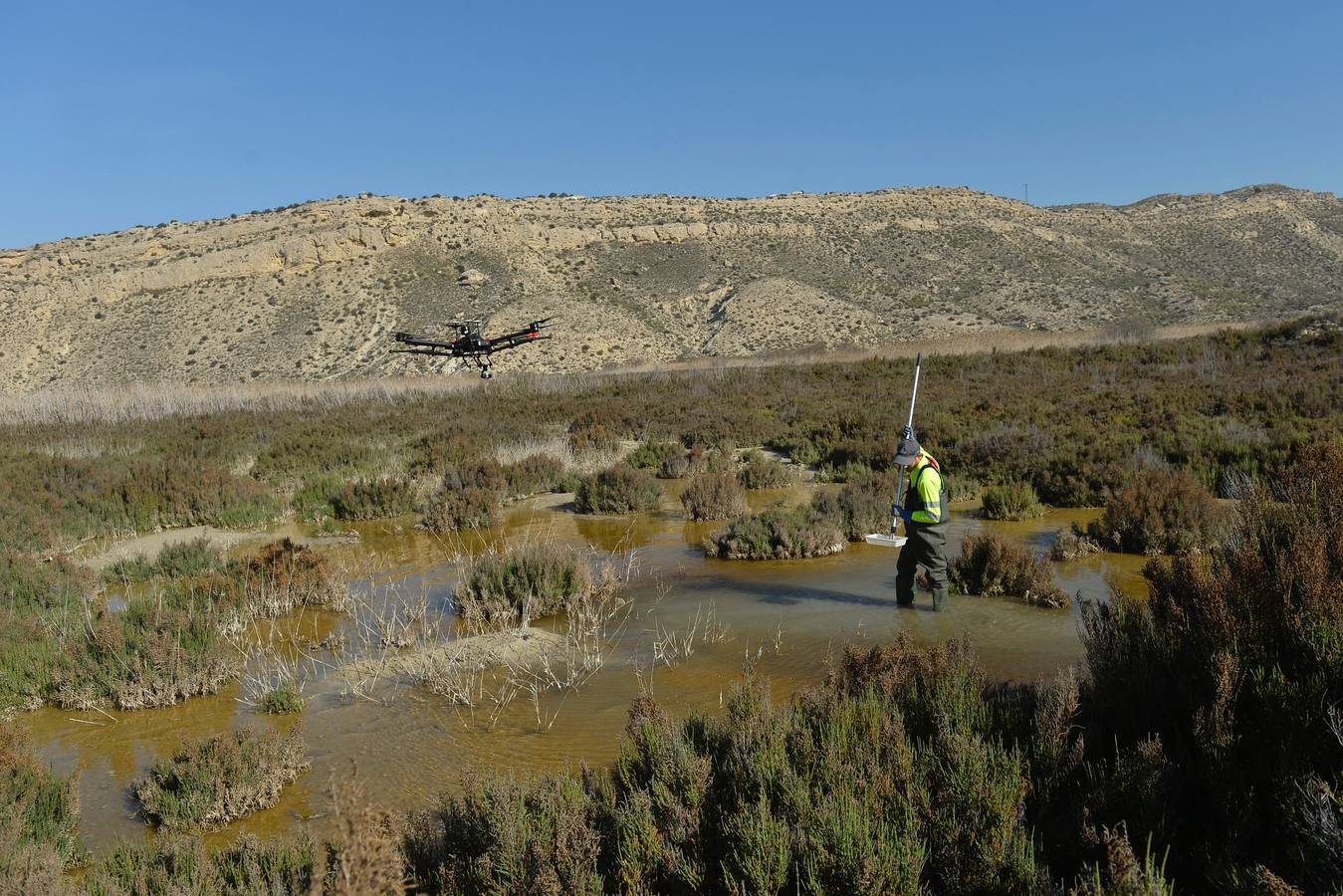 Los aparatos voladores esparcen por el agua una bacteria que impide el desarrollo biológico del 'Aedes albopictus'.