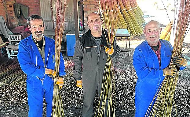 Eduardo y los hermanos Vindel, Abel y Edvidio clasifican el mimbre por su longitud.