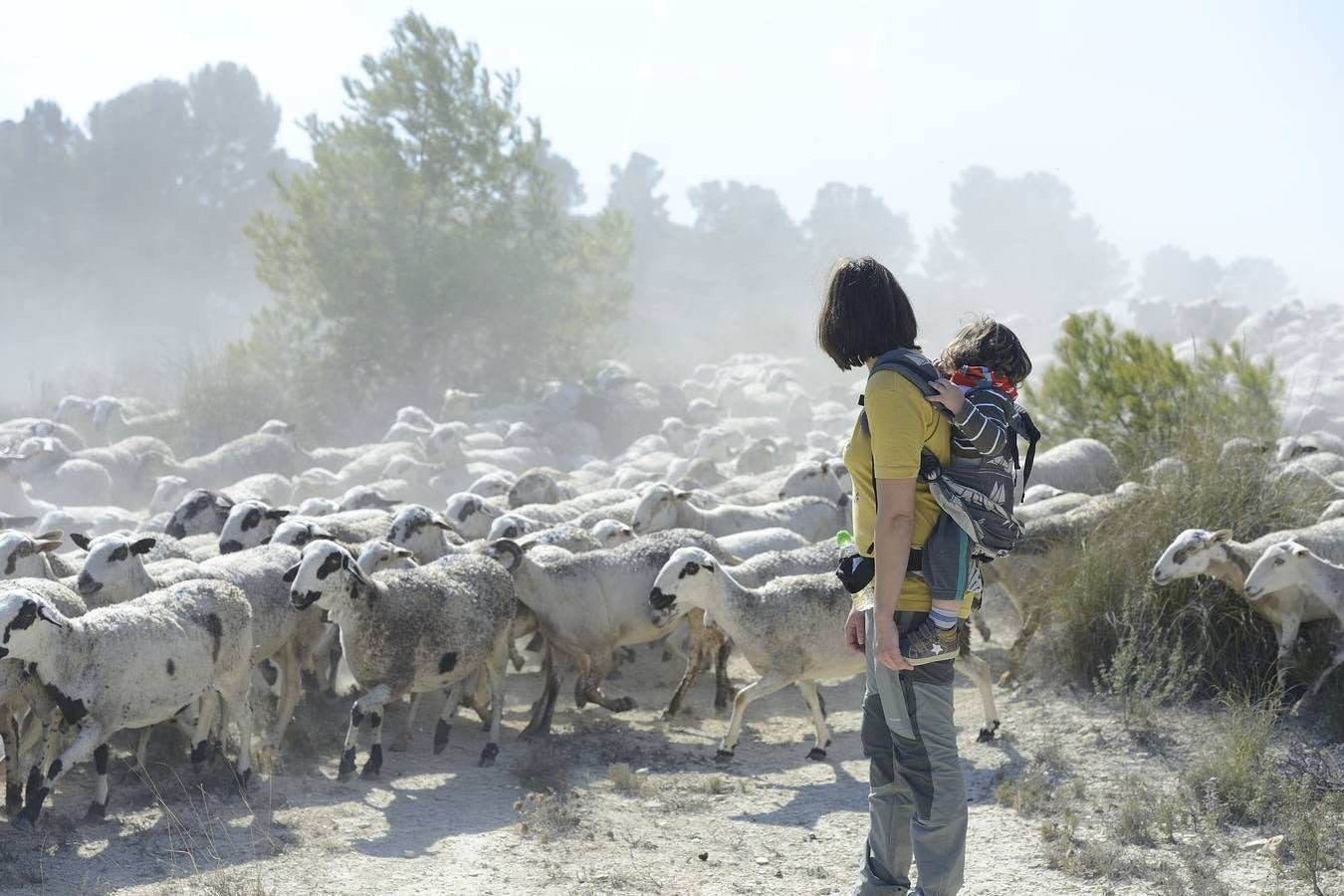 Más de 70 personas participaron el domingo en la VI Marcha Ganadera de Abarán, que discurrió por el Cordel de las Pocicas, en la Sierra de La Pila.