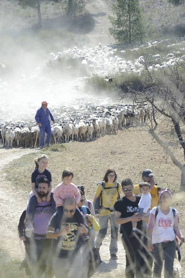 Más de 70 personas participaron el domingo en la VI Marcha Ganadera de Abarán, que discurrió por el Cordel de las Pocicas, en la Sierra de La Pila.