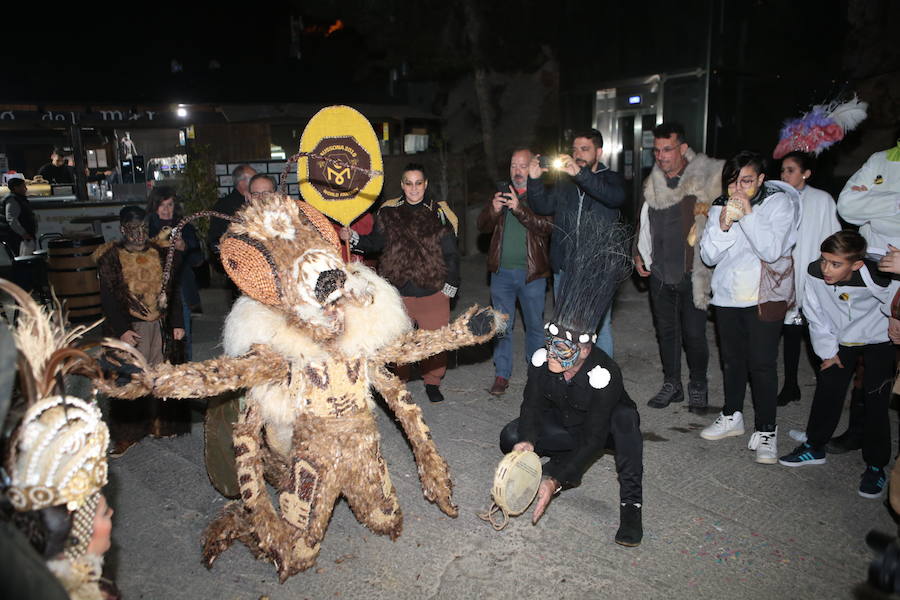 Cristina Moreno encarnó a la bestia de las fiestas del Carnaval con un traje que simulaba una abeja y acompañada por un séquito de setenta apicultores