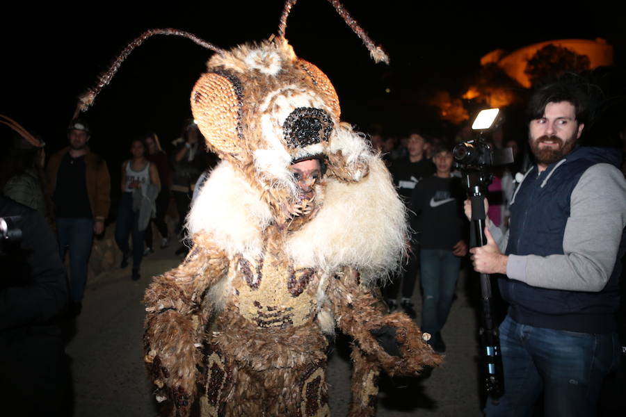 Cristina Moreno encarnó a la bestia de las fiestas del Carnaval con un traje que simulaba una abeja y acompañada por un séquito de setenta apicultores