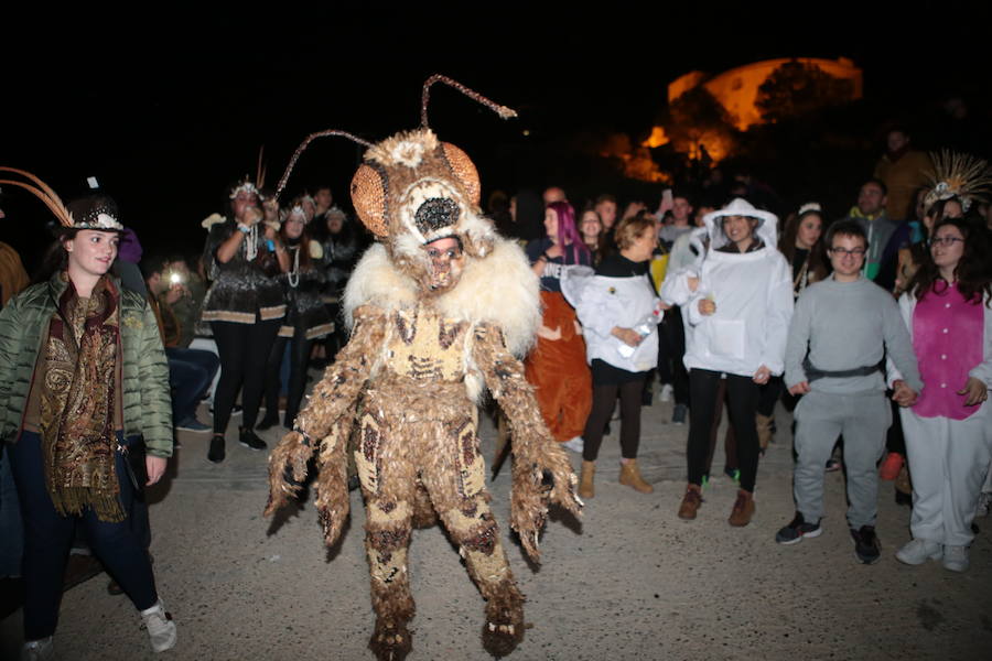 Cristina Moreno encarnó a la bestia de las fiestas del Carnaval con un traje que simulaba una abeja y acompañada por un séquito de setenta apicultores
