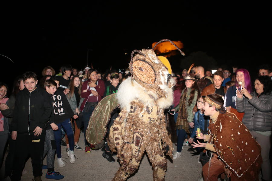 Cristina Moreno encarnó a la bestia de las fiestas del Carnaval con un traje que simulaba una abeja y acompañada por un séquito de setenta apicultores
