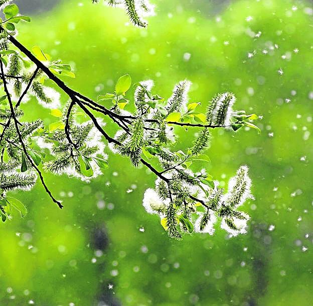 La cosecha de febrero