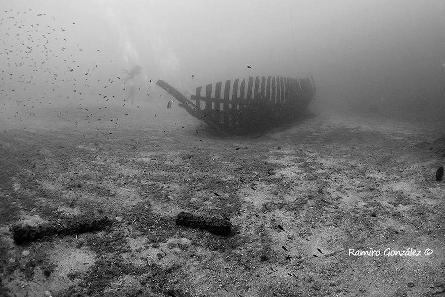 Un repaso a la fauna y la vegetación sumergida del espacio que se convertirá en tercera reserva marina de la Región de Murcia