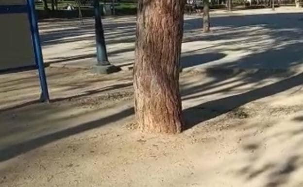 Lugar donde se produjo la pelea en el jardín de El Malecón.