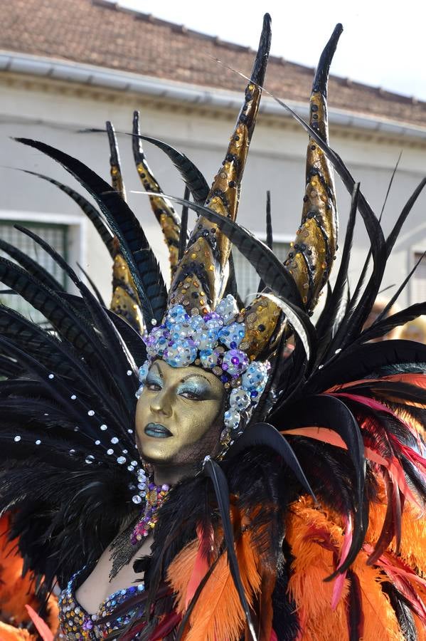 Treinta comparsas, con 1.500 participantes, muestran lo mejor del Carnaval de Cabezo de Torres. Uno de los grupos más aplaudidos fue Sementales Atascaos, que ironizó con la contaminación del Mar Menor