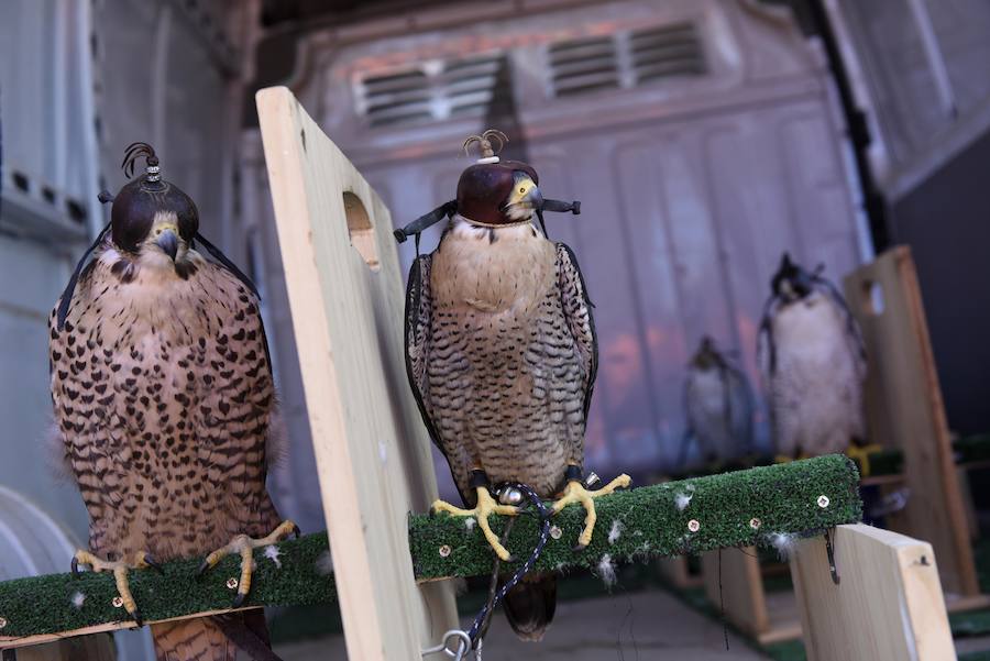 Fotos: Visita de los ganadores del concurso de &#039;La Verdad&#039; al aeropuerto internacional de la Región de Murcia