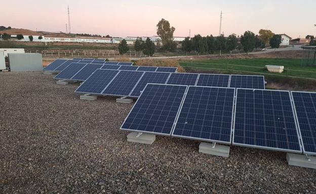 Planta de energía solar fotovoltaica instalada en la granja veterinaria del campus de Espinardo.