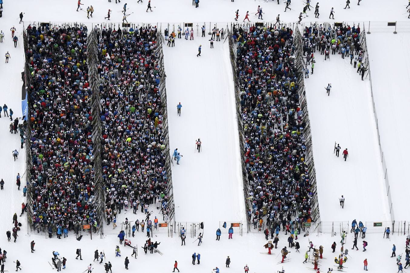 Los atletas compiten en el camino de Maloya a S-Chanf durante la 51 Maratón Anual de Esquí de Engadin en Sils, Suiza.