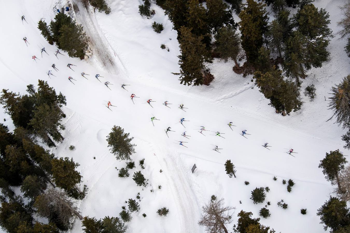 Los atletas compiten en el camino de Maloya a S-Chanf durante la 51 Maratón Anual de Esquí de Engadin en Sils, Suiza.
