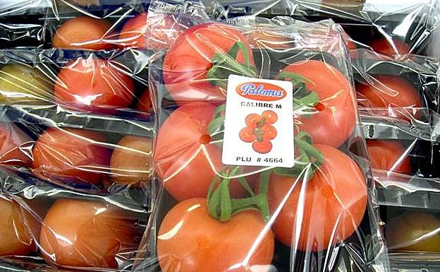 Imagen de archivo de tomates murcianos envasados listos para su exportación. 