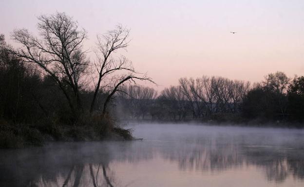 El río Tajo, a su paso por Aranjuez.