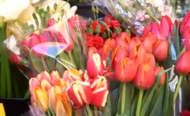 Vídeo donde el alcalde convoca a los murcianos a celebrar la primavera.