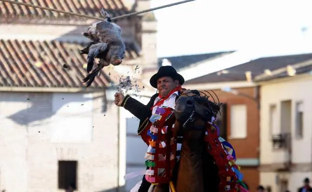 Imagen principal - 1- Un jinete arranca la cabeza de un ganso muerto en ElCarpio de Tajo. 2- Los quintos tiran una cabra viva de un campanario. 3- Fiesta en Lequeitio. 