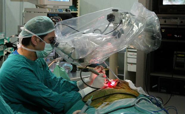 Un médico realiza una intervención quirúrgica en el oído. 