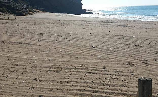 Playa de Calnegre, esta mañana, ya sin la vegetación protegida que crece sobre la arena.