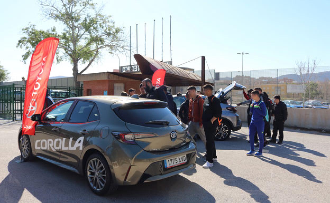 Alumnos observan varios modelos Toyota.