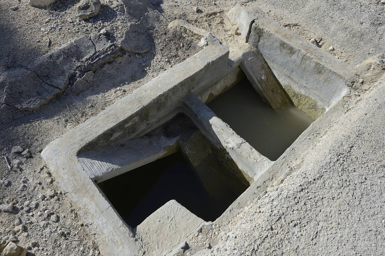 Historia al natural en la Sierra de la Pila abaranera.