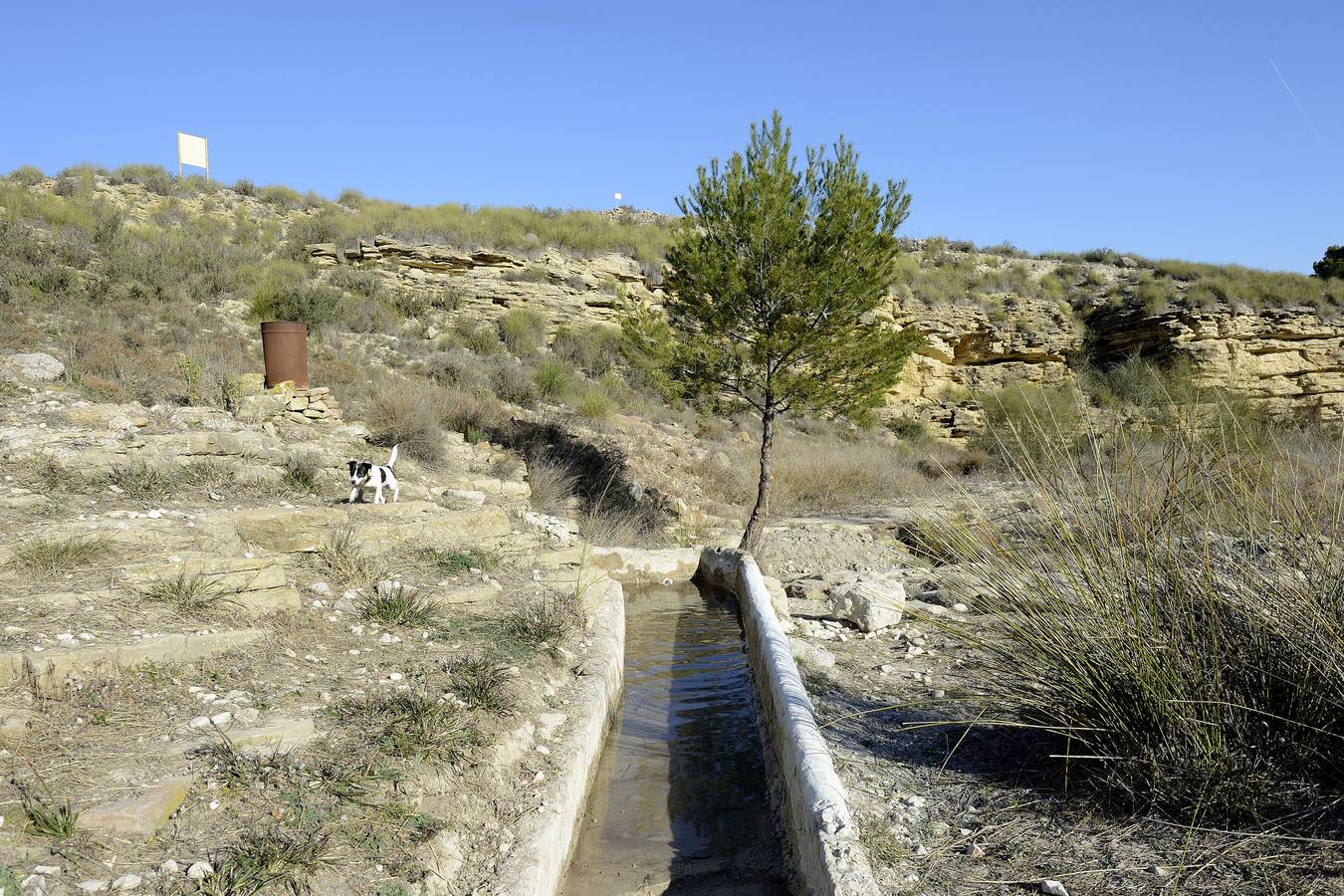 Historia al natural en la Sierra de la Pila abaranera.