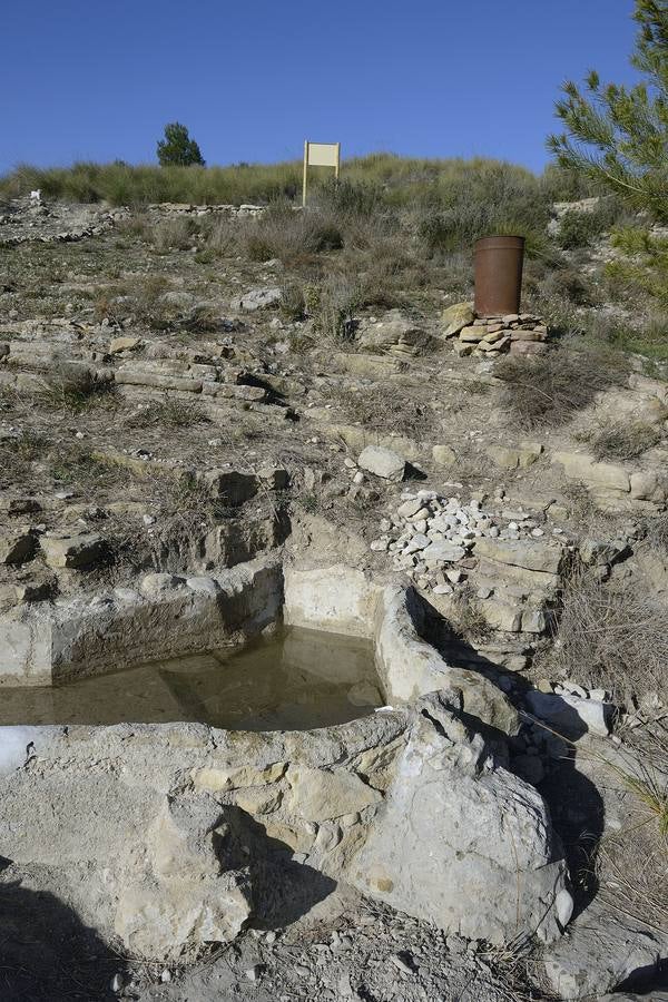 Historia al natural en la Sierra de la Pila abaranera.