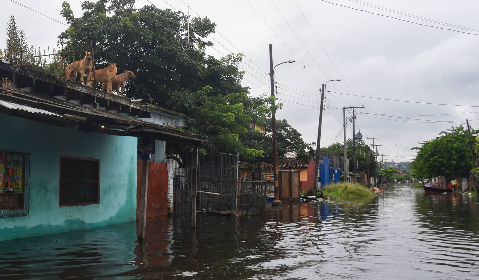 Los habitantes del Bañado Sur, una de las zonas de Asunción golpeadas por las inundaciones del río Paraguay, desconfían de las soluciones del Gobierno ante este problema cíclico, que ha obligado a unas 2.000 familias a dejar sus hogares y a la Junta Municipal a declarar el estado de emergencia.