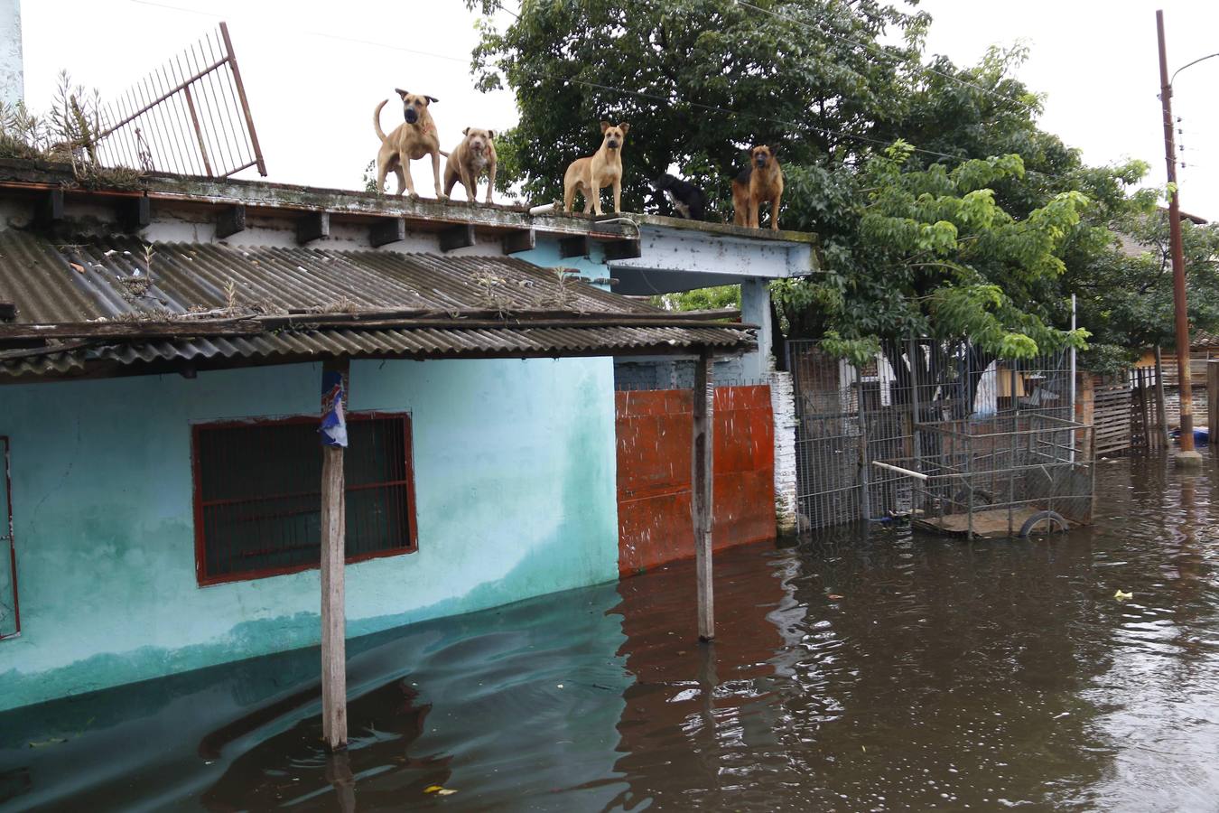 Los habitantes del Bañado Sur, una de las zonas de Asunción golpeadas por las inundaciones del río Paraguay, desconfían de las soluciones del Gobierno ante este problema cíclico, que ha obligado a unas 2.000 familias a dejar sus hogares y a la Junta Municipal a declarar el estado de emergencia.