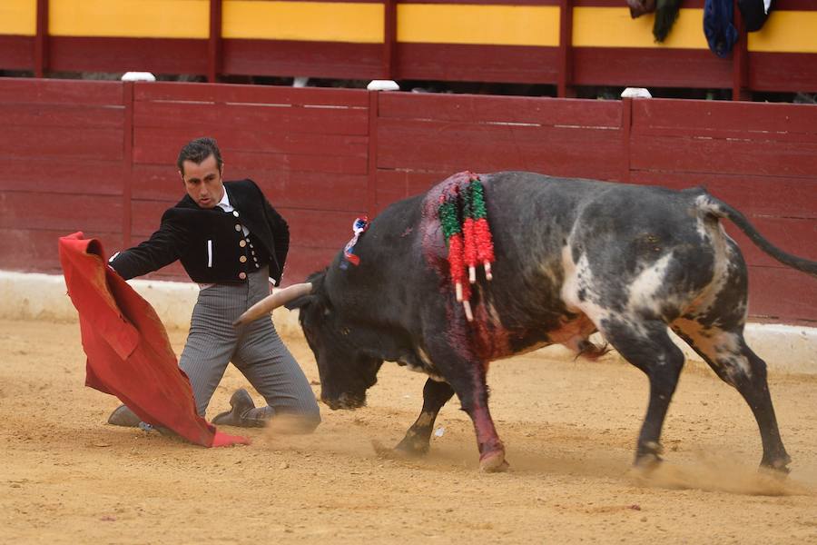 El festival de la AECC celebra su XXV edición con un gran espectáculo. Trece orejas y tres rabos en un festejo de alto nivel artístico