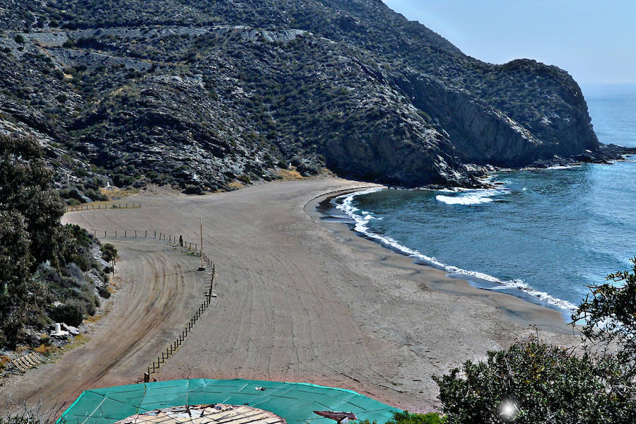 Medio Ambiente prepara la restauración de la vegetación arrasada por un tractor en tres calas del sector lorquino del parque regional