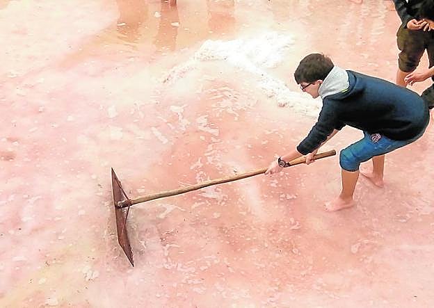 Un estudiante cosecha sal en las salinas de Rambla Salada. 