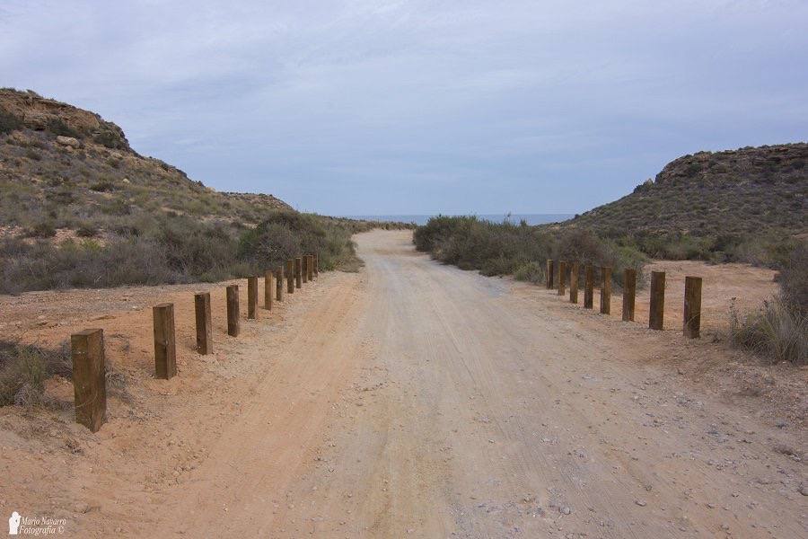 La Consejería y la Fundación Cajamurcia delimitan los caminos y plantan mil arbustos en el paisaje protegido aguileño