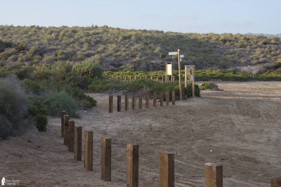 La Consejería y la Fundación Cajamurcia delimitan los caminos y plantan mil arbustos en el paisaje protegido aguileño