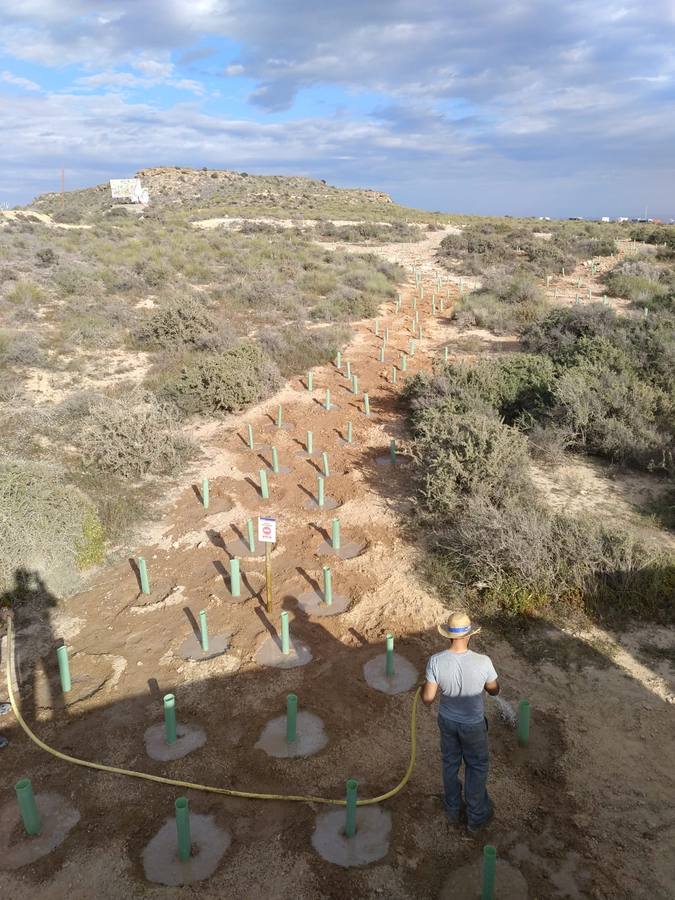 La Consejería y la Fundación Cajamurcia delimitan los caminos y plantan mil arbustos en el paisaje protegido aguileño