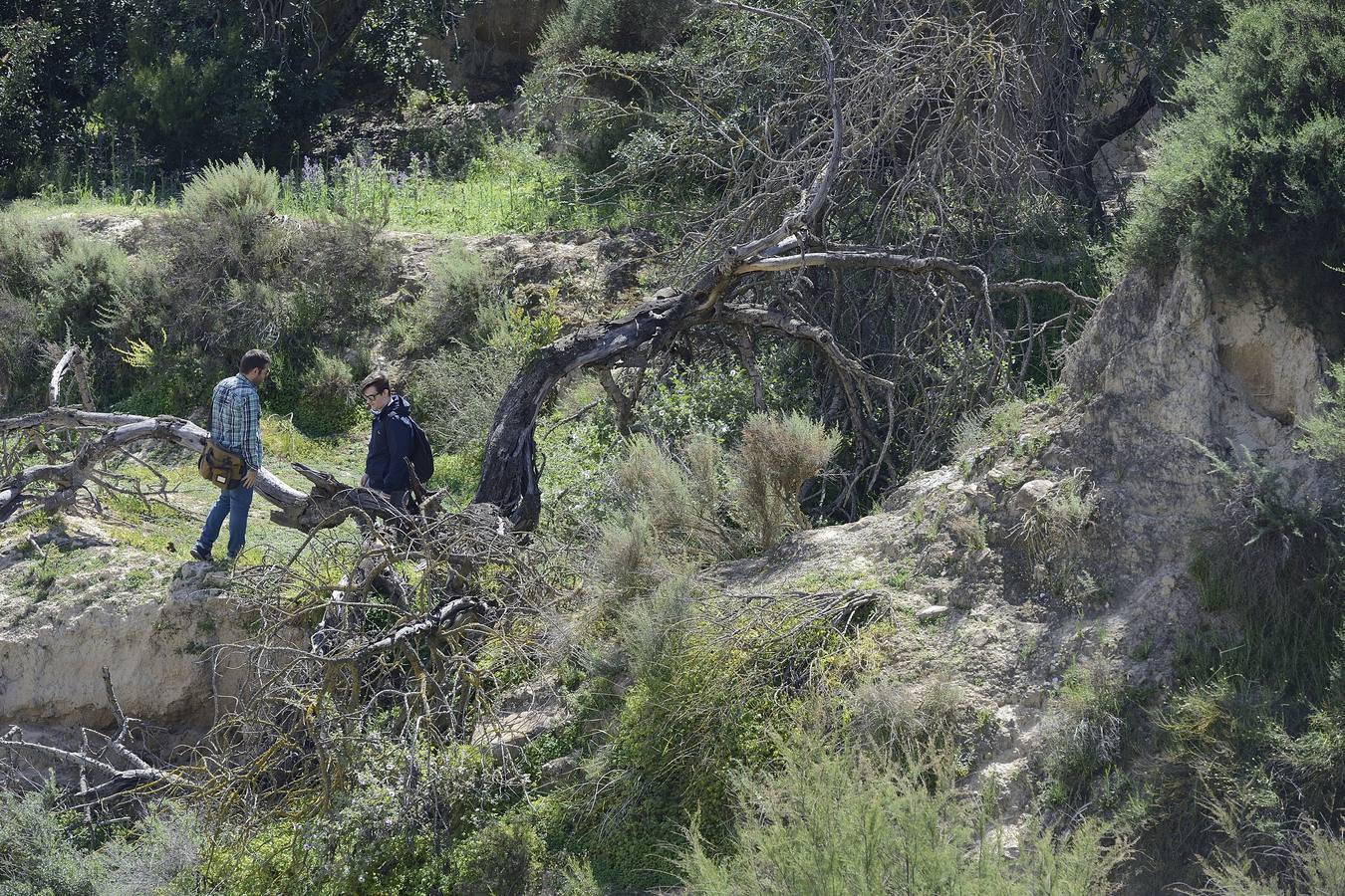 Murcia, Cartagena, Lorca, Jumilla, Abanilla, La Unión y Calasparra no tienen plan antiincendios pese al riesgo de sufrir un fuego en sus montes.