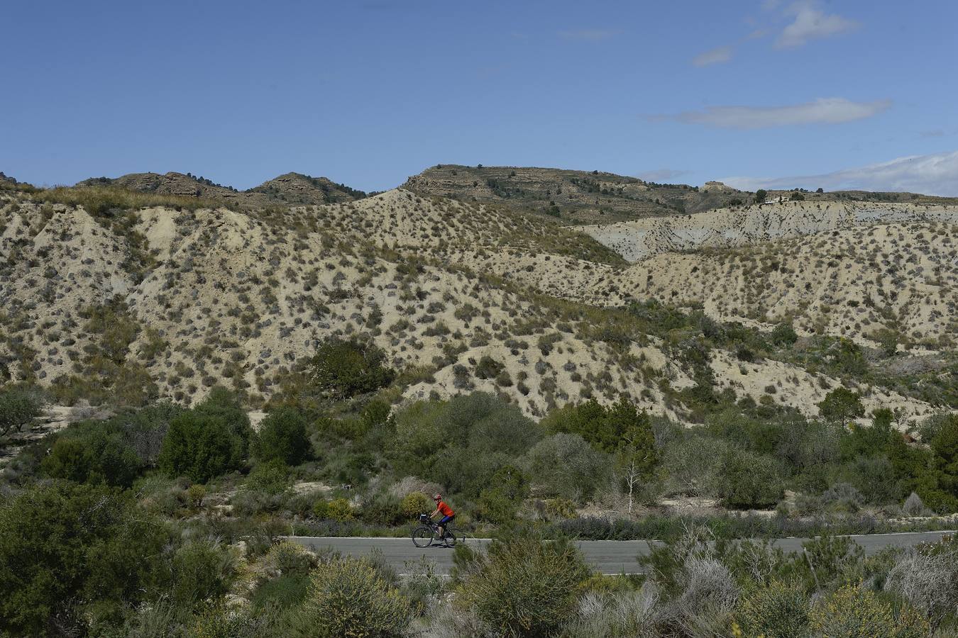 Murcia, Cartagena, Lorca, Jumilla, Abanilla, La Unión y Calasparra no tienen plan antiincendios pese al riesgo de sufrir un fuego en sus montes.