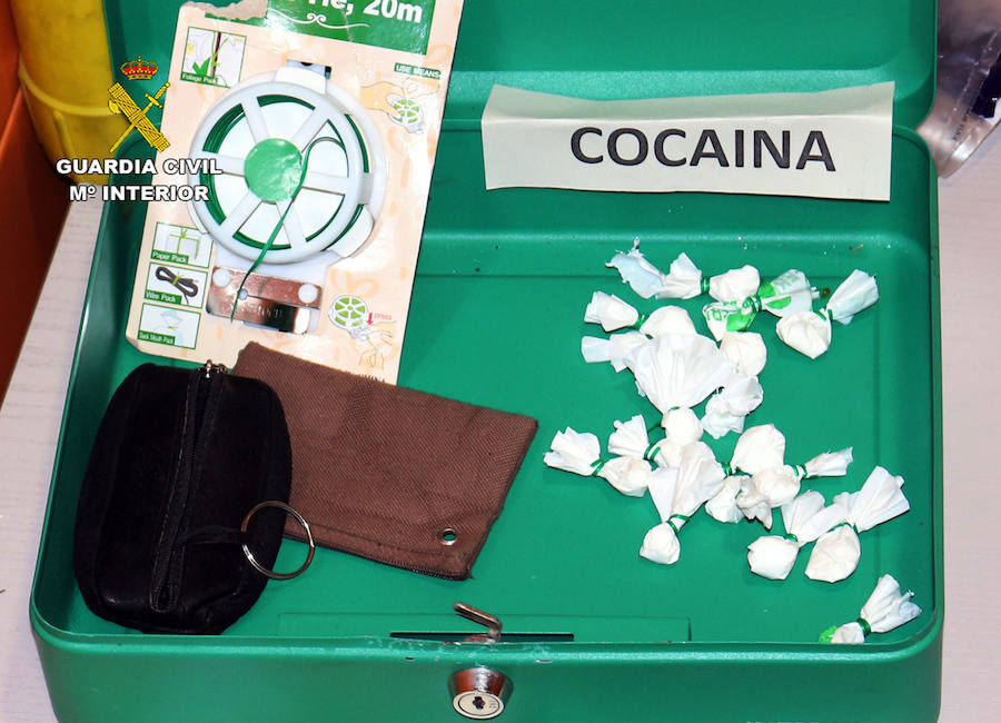 Detienen a once integrantes del grupo delictivo por delitos de tráfico de drogas, tenencia ilícita de armas y defraudación de fluido eléctrico, entre otros. Se incautaron 400 plantas, 100 kg de esta sustancia, 100 dosis de cocaína y 300 gramos de hachís