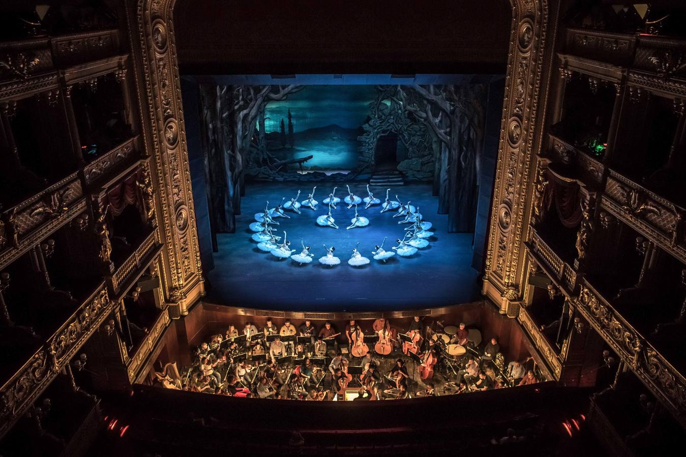 Varias bailarinas del Ballet Nacional checo participan en un ensayo general de «El lago de los cisnes» en el escenario del Teatro Nacional en Praga (República Checa). El Ballet Nacional checo es la primera gran compañía que ha conseguido la aprobación para representar la pieza fuera de Alemania. 