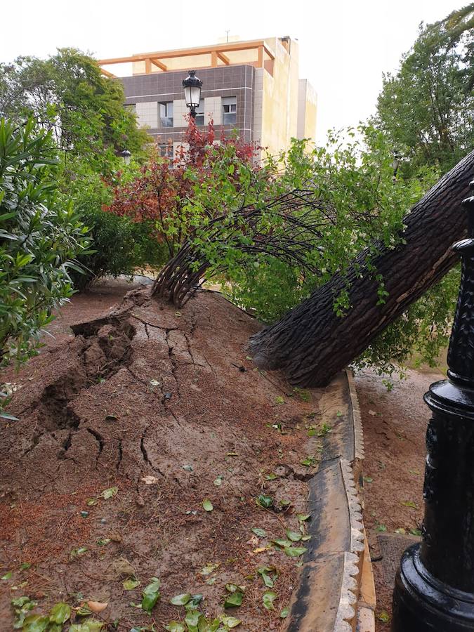 Según los datos actuales, hasta el momento, la media de lluvia registrada en el término municipal oscila entre los 80 y 100 litros por metro cuadrado
