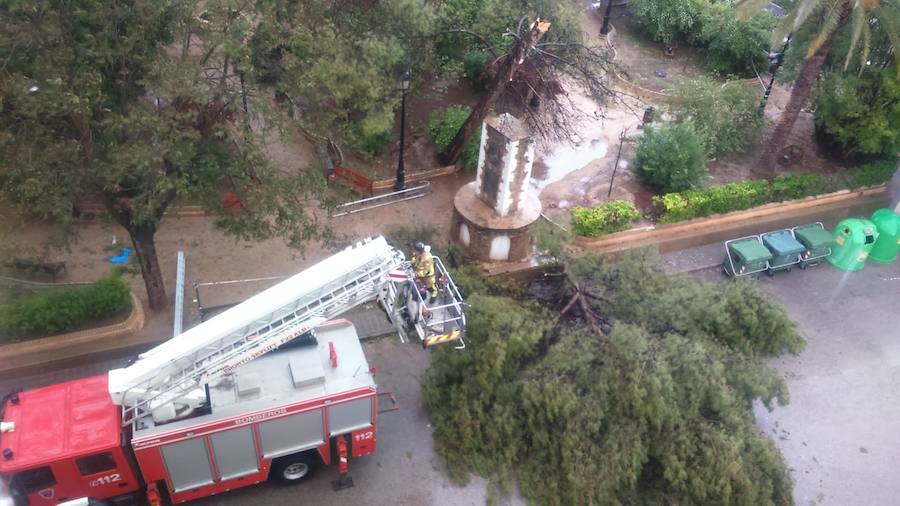 Según los datos actuales, hasta el momento, la media de lluvia registrada en el término municipal oscila entre los 80 y 100 litros por metro cuadrado