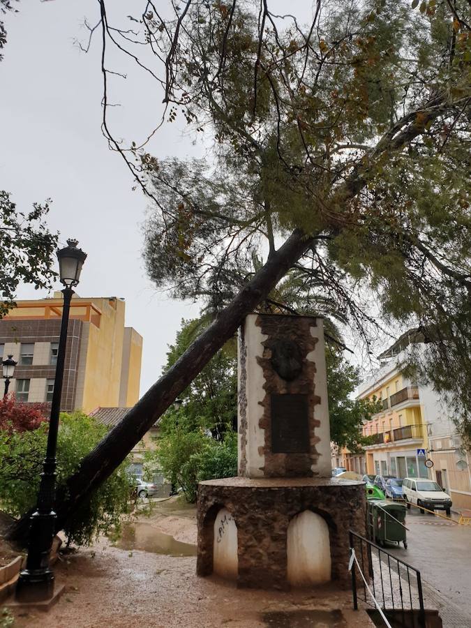 Según los datos actuales, hasta el momento, la media de lluvia registrada en el término municipal oscila entre los 80 y 100 litros por metro cuadrado