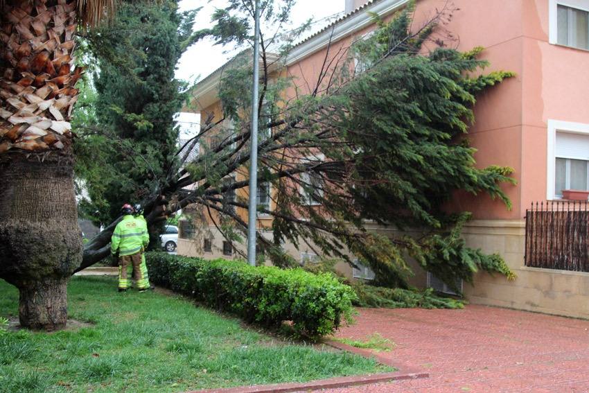 La gota fría también ha causado numerosos incidentes en Yecla