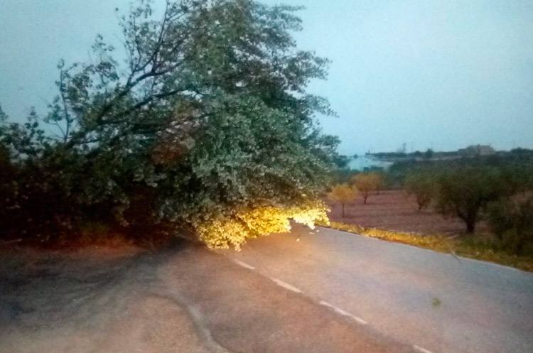 La gota fría también ha causado numerosos incidentes en Yecla