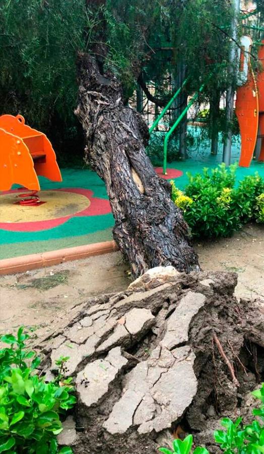 La gota fría también ha causado numerosos incidentes en Yecla