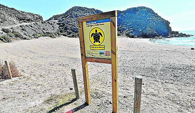 Playa de Calnegre, con bolardos arrancados poco después de la roturación ilegal. 